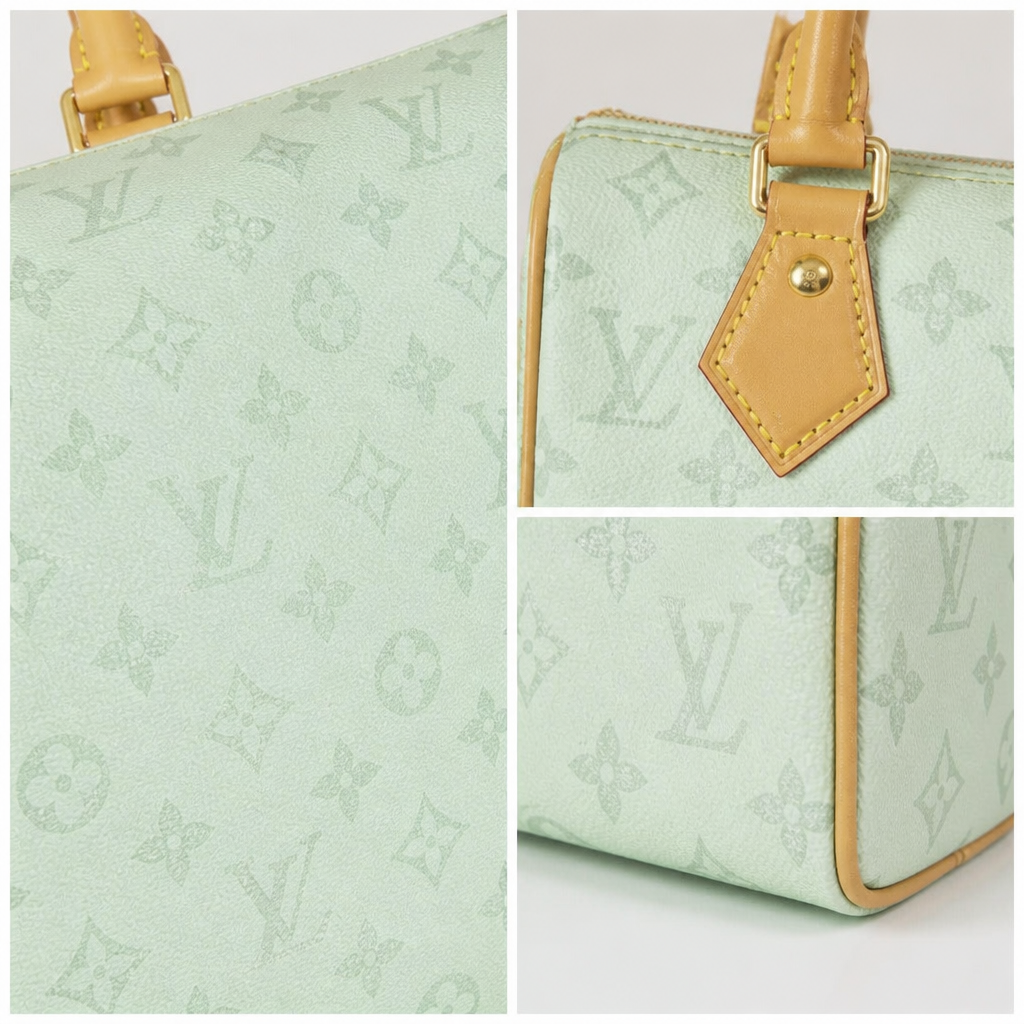 Mini Dome Top Handle Bag — detail collage — Mint Monogram
